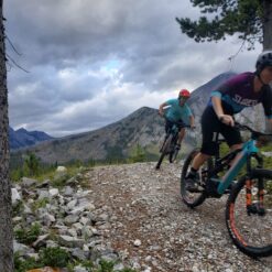 Shred Sisters mountain bike course