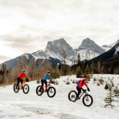 Guided Fat Bike Ride with Shred Sisters