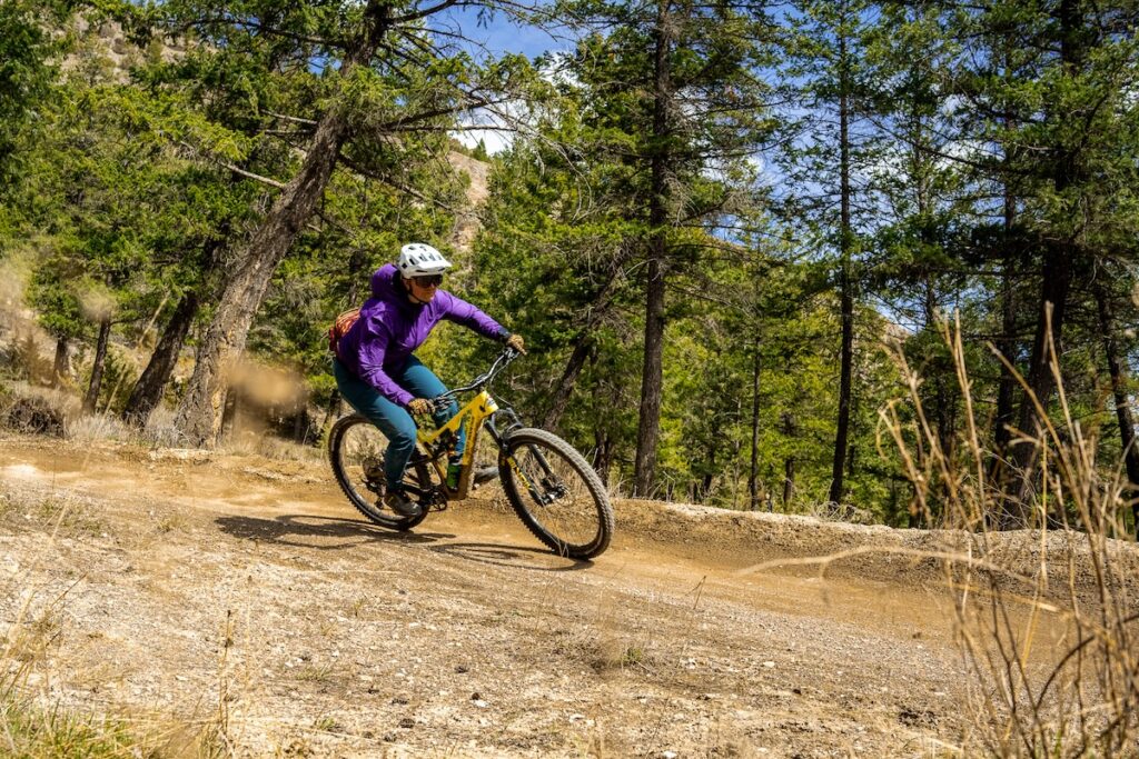Shred Sisters