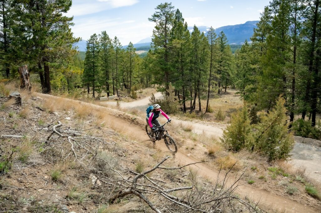 Shred Sisters